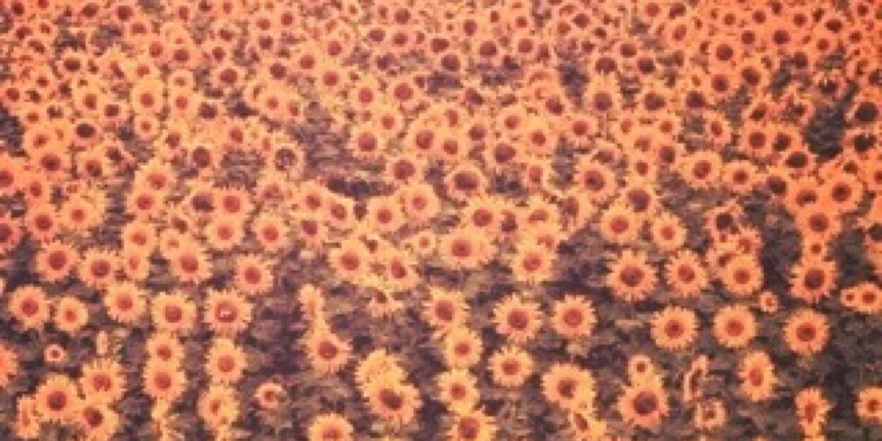 bmm26xx's profile banner image