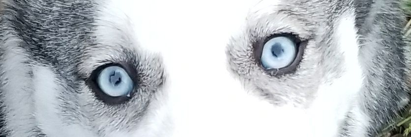 AaronDRowedder's profile banner image