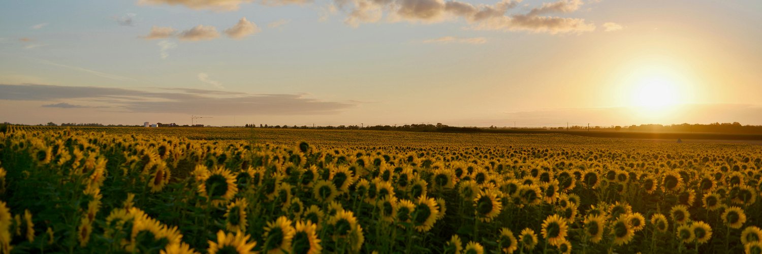 apgekv's profile banner image
