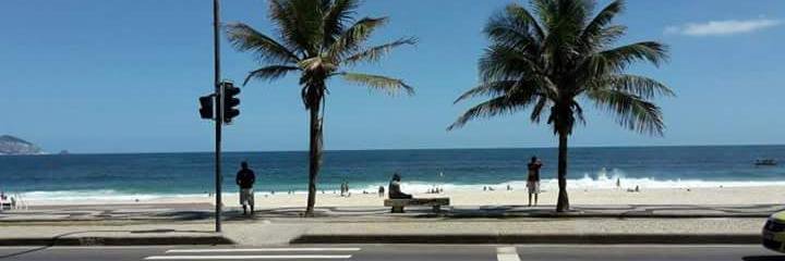 Shane_Rochay's profile banner image