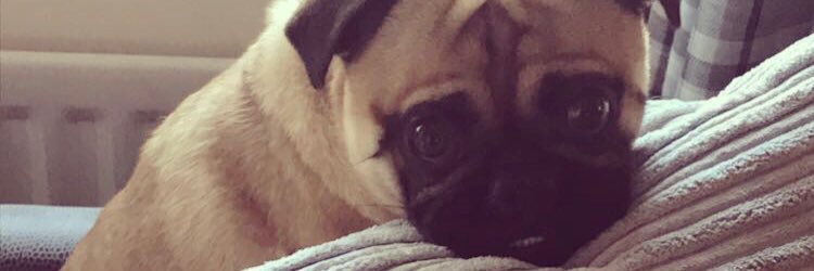liamooo_19's profile banner image