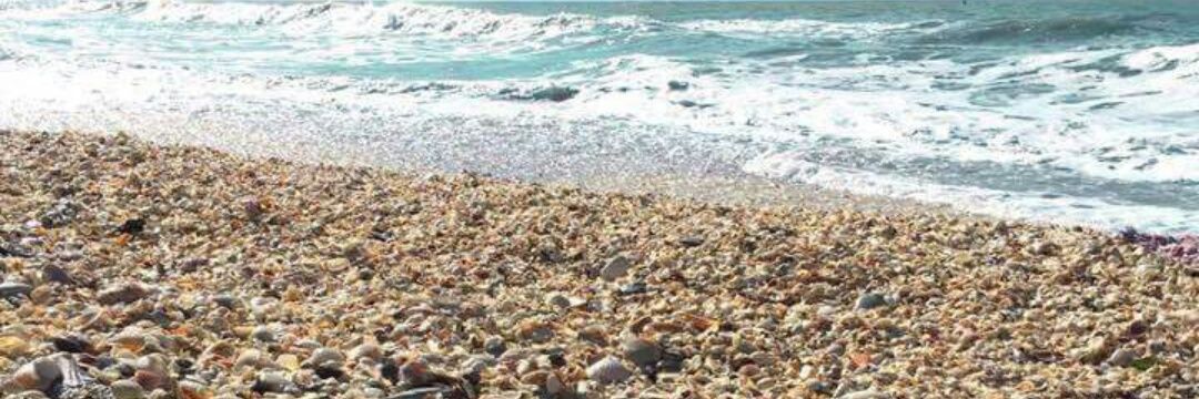 Bret HACK Hackleman banner