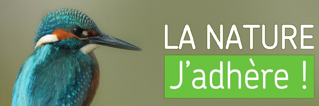 LoireLPO's profile banner image