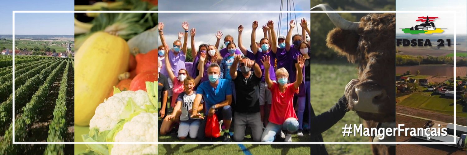 FDSEA de Côte d'Or banner