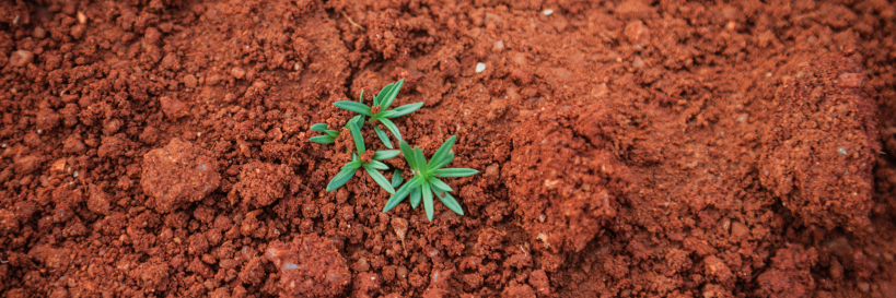 Global Soil Week banner