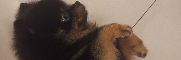 seenbyseen_ Profile Banner