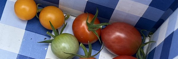 Tinyprepper Profile Banner