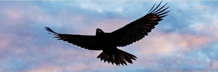 blackflag1903's profile banner image
