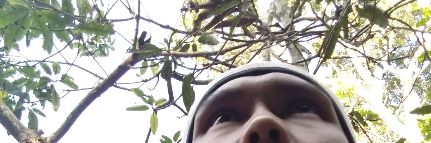 seprzq_'s profile banner image