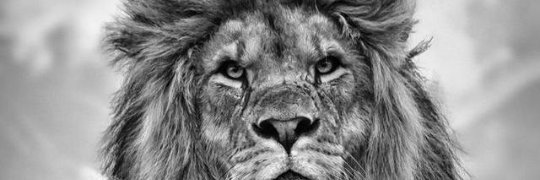 Alexkam254's profile banner image