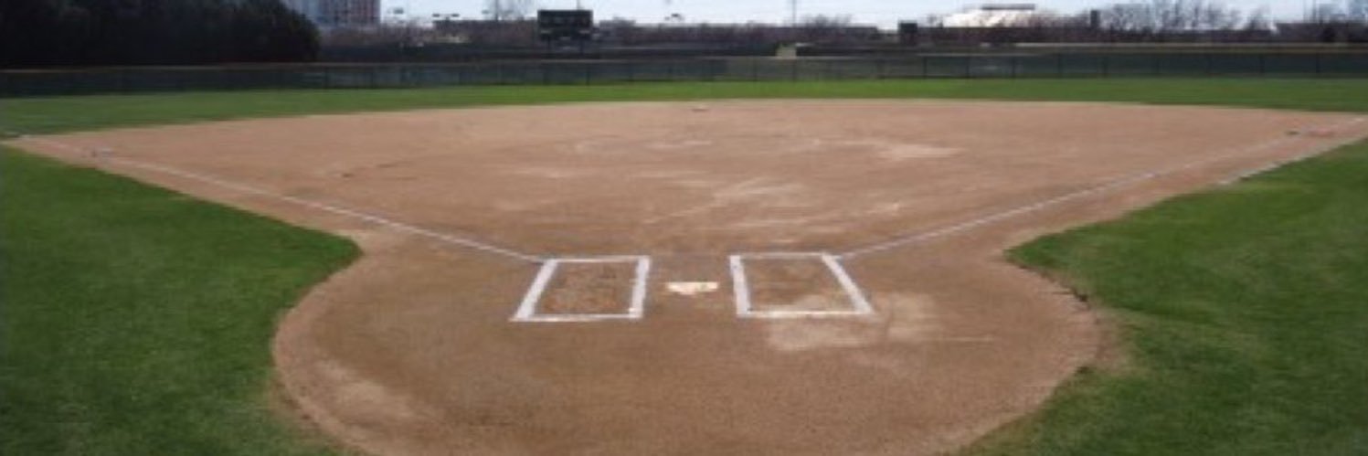 HSAA Softball banner