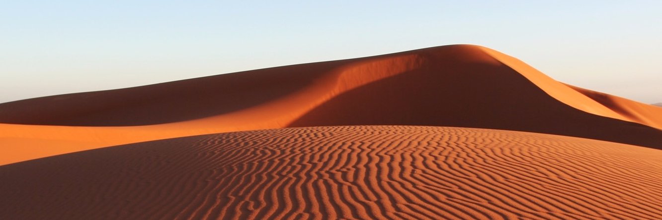 DriftingDunes for #SaveSoil banner