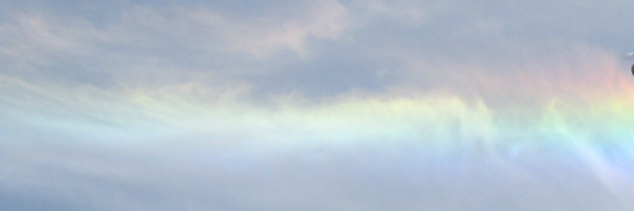 Veronica Reed banner