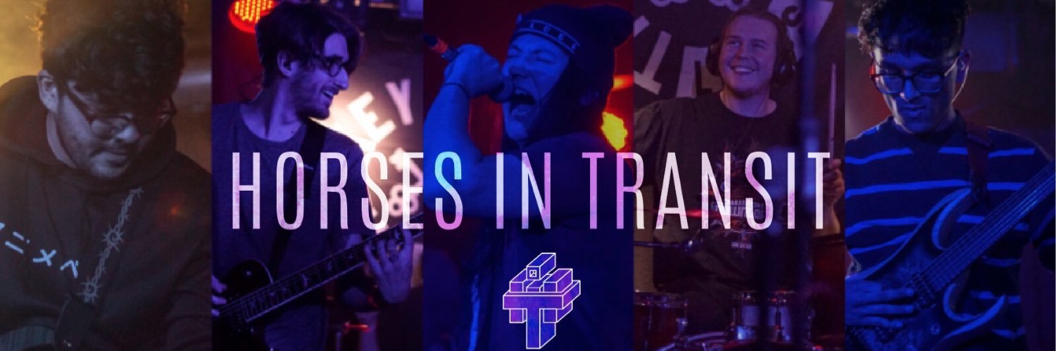 Horses In Transit banner