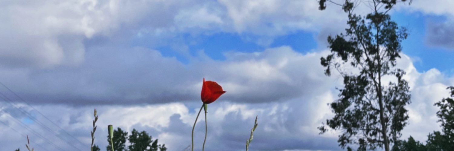 purguchi's profile banner image