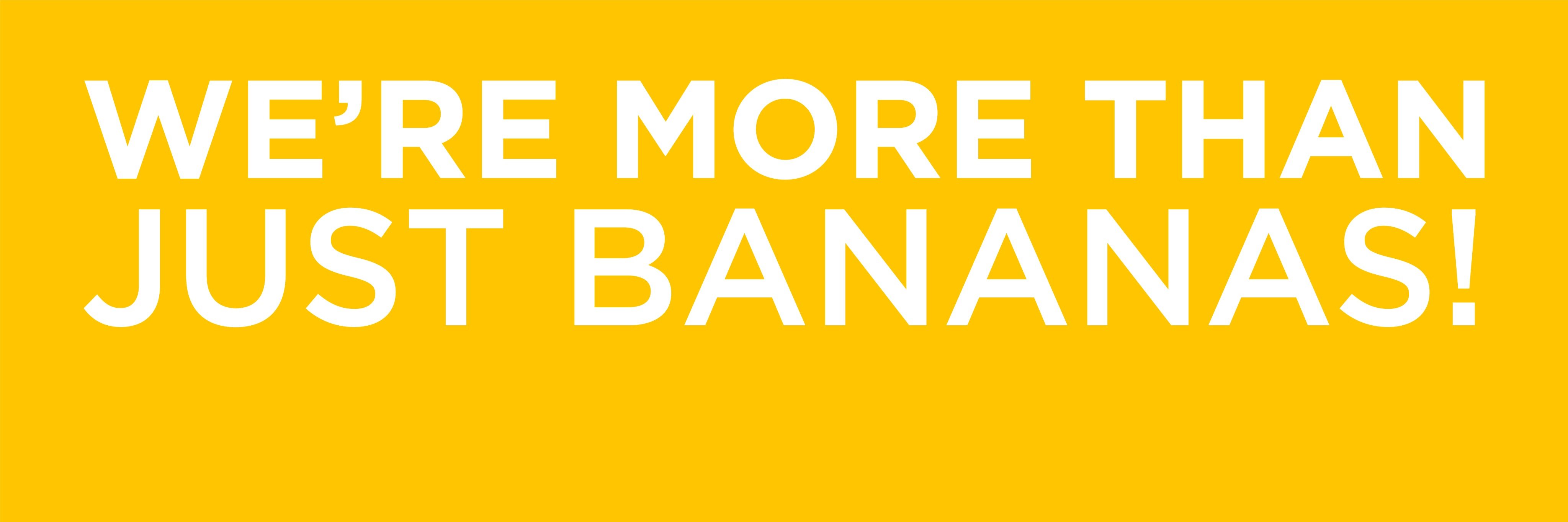 bananagrams's profile banner image