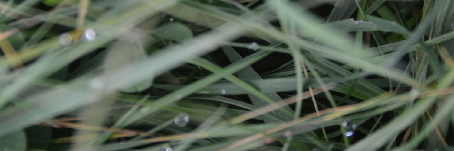 Nuria Pons banner