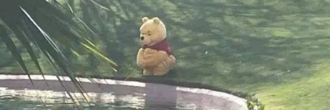 sibu ndlazi 🤠 banner