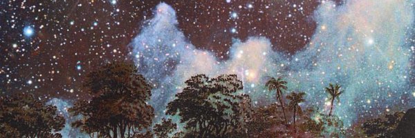 Fluency_flow Profile Banner