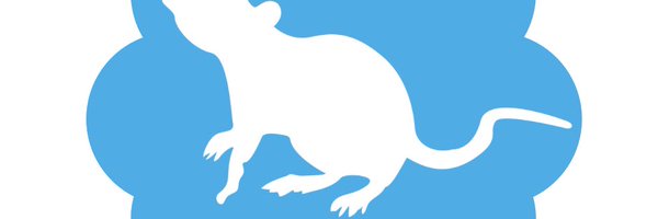 Sachamarseille1 Profile Banner