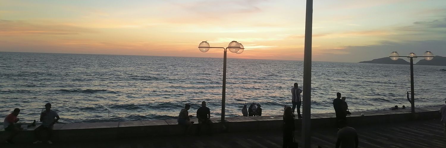 dianethaleja's profile banner image