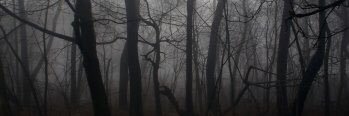 _monroegin_'s profile banner image