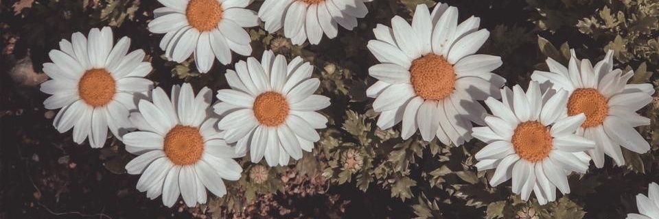 furiindah's profile banner image