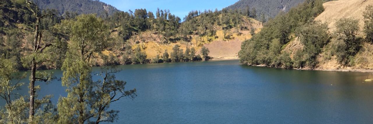 ratufenny's profile banner image