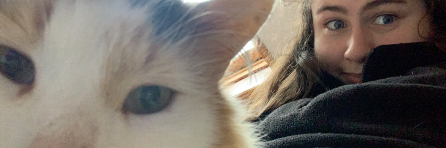 maisie ⭐️ banner
