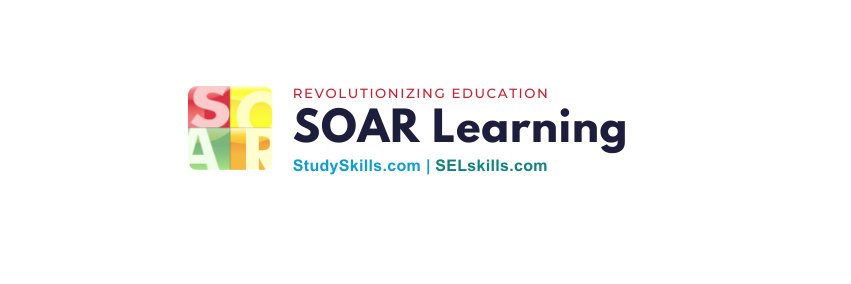 soarlearning's profile banner image