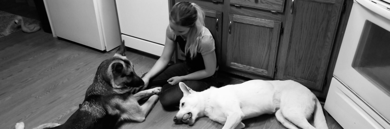 alysonbeiser's profile banner image