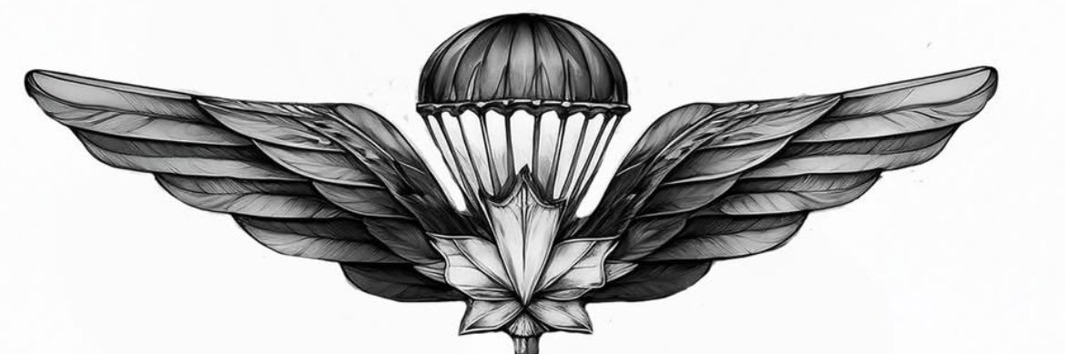 paraman 🛡️ ᛤ banner