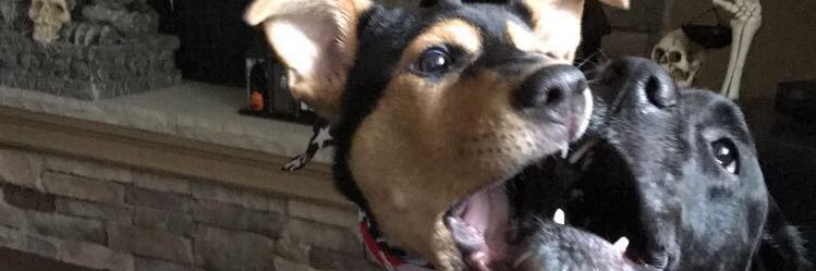 schimmmy's profile banner image
