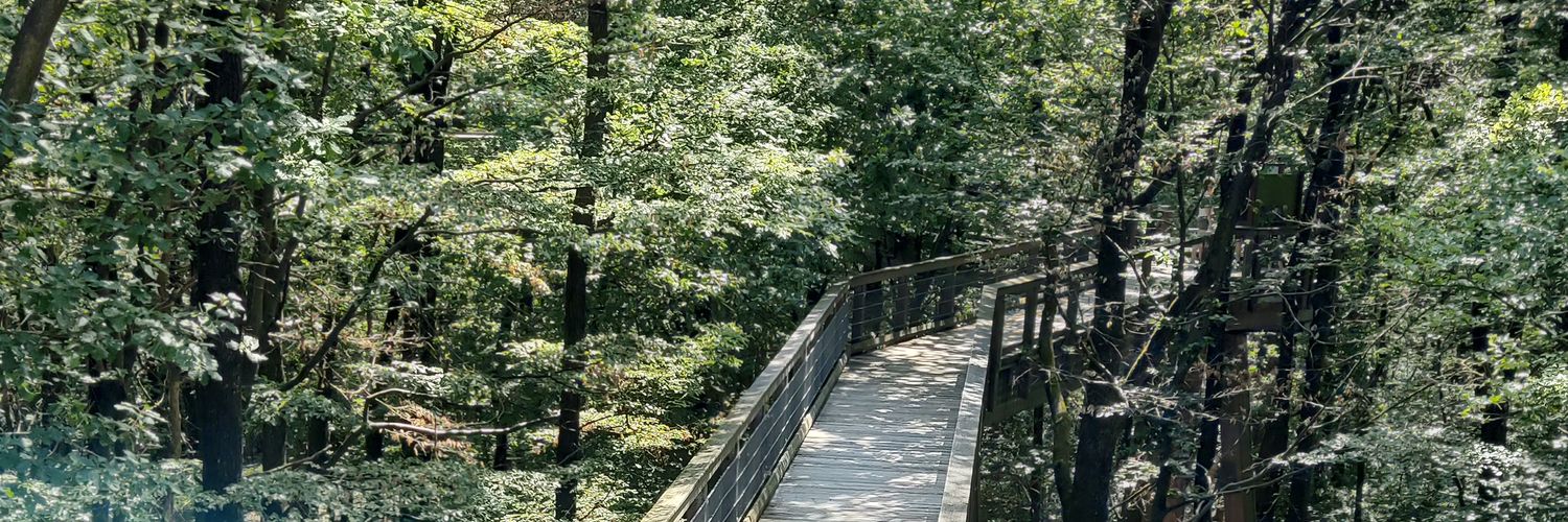 Florian Neisser banner