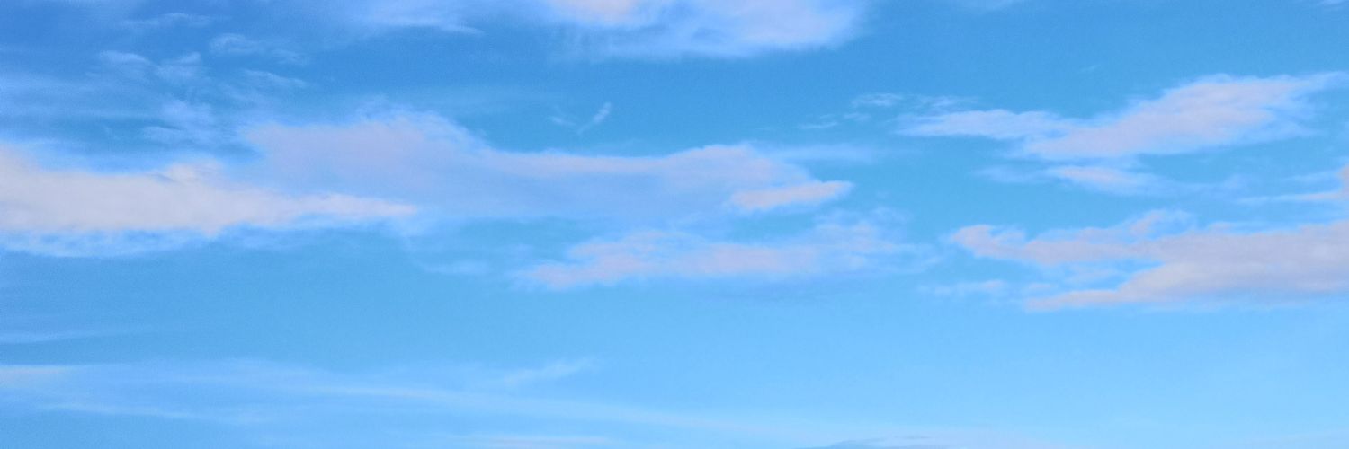 Mojito511's profile banner image