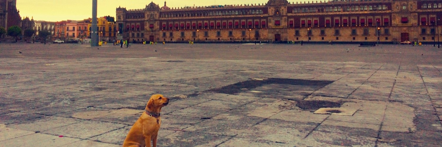 Maritha Amescua banner