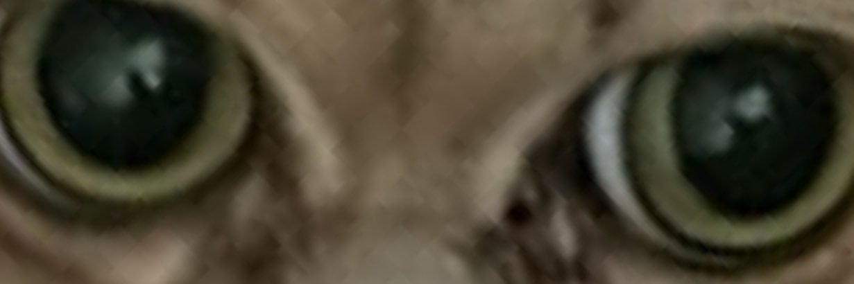 zvmmer's profile banner image