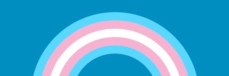 lilyluvlean's profile banner image