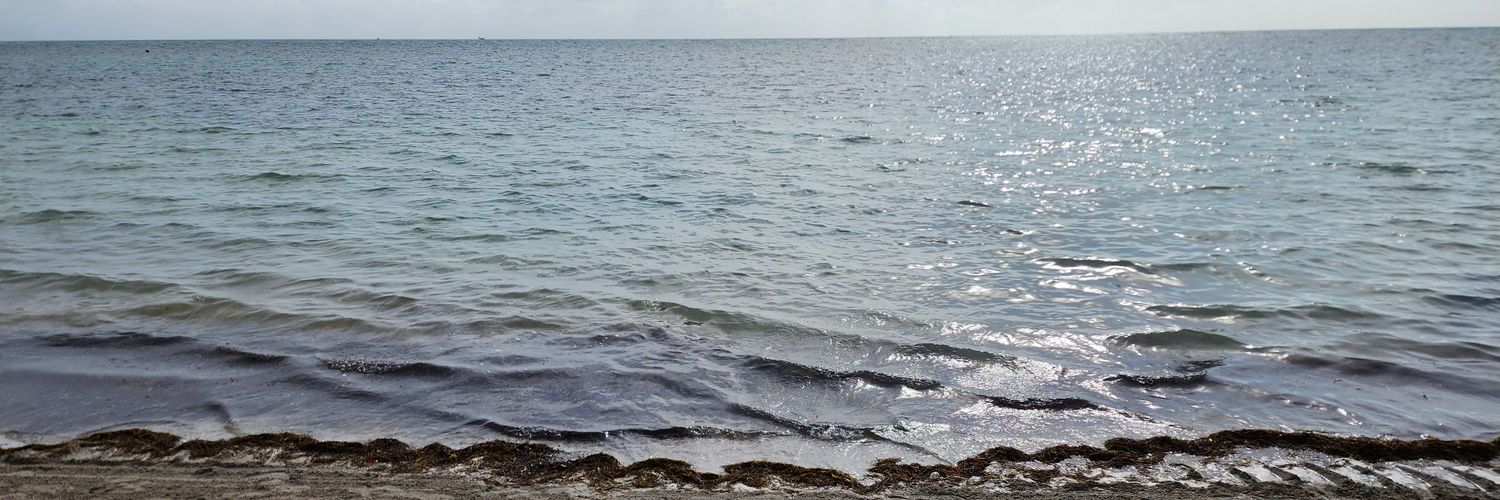 pablohcm's profile banner image