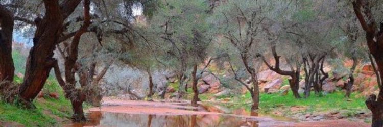 bbafml1234's profile banner image