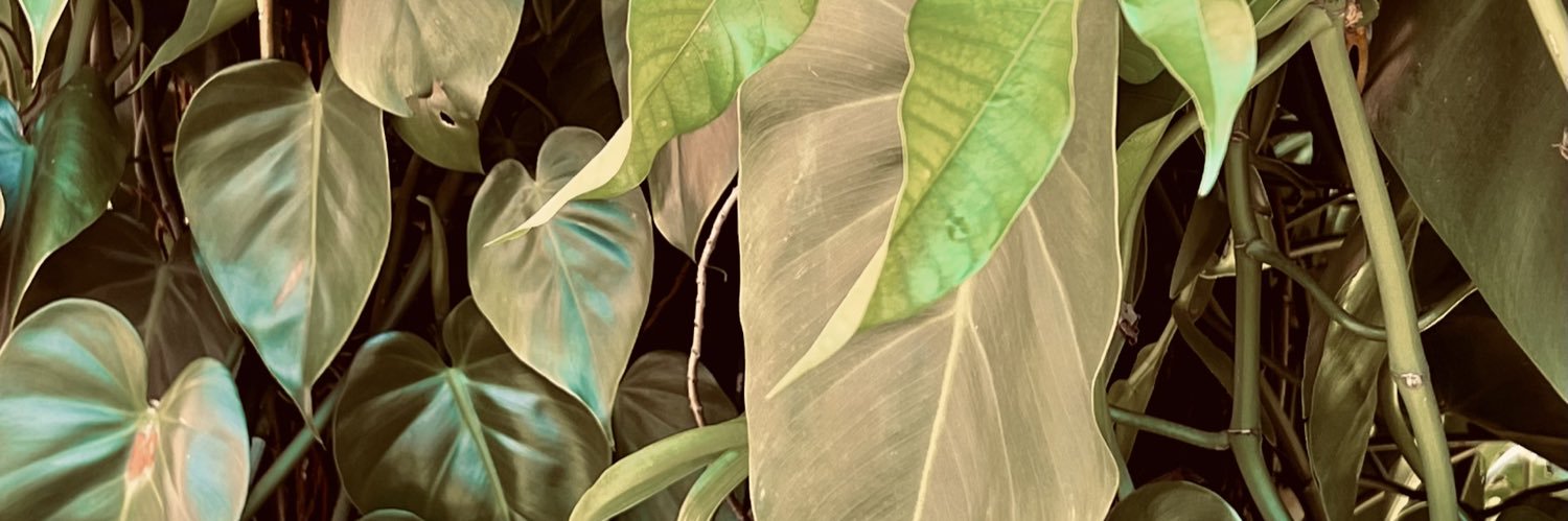 Florcervini's profile banner image
