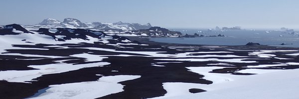 microairpolar Profile Banner