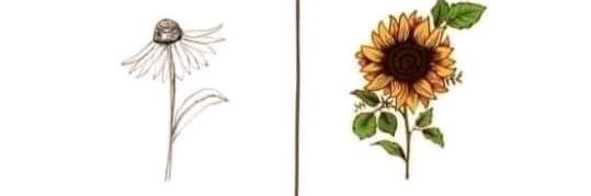 AlondraCachM's profile banner image