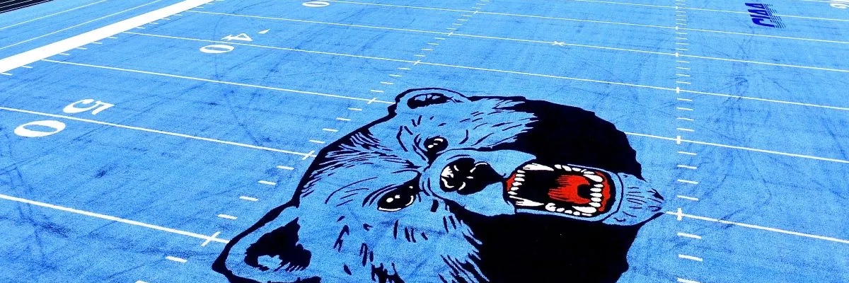 lcbluebears's profile banner image