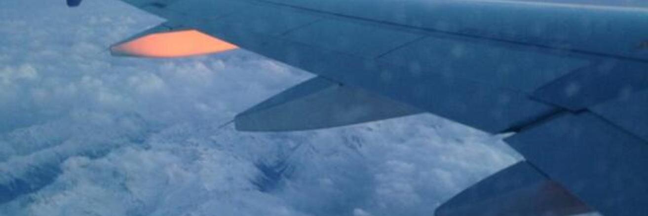 🐘 @carolyn@social.eqver.se banner