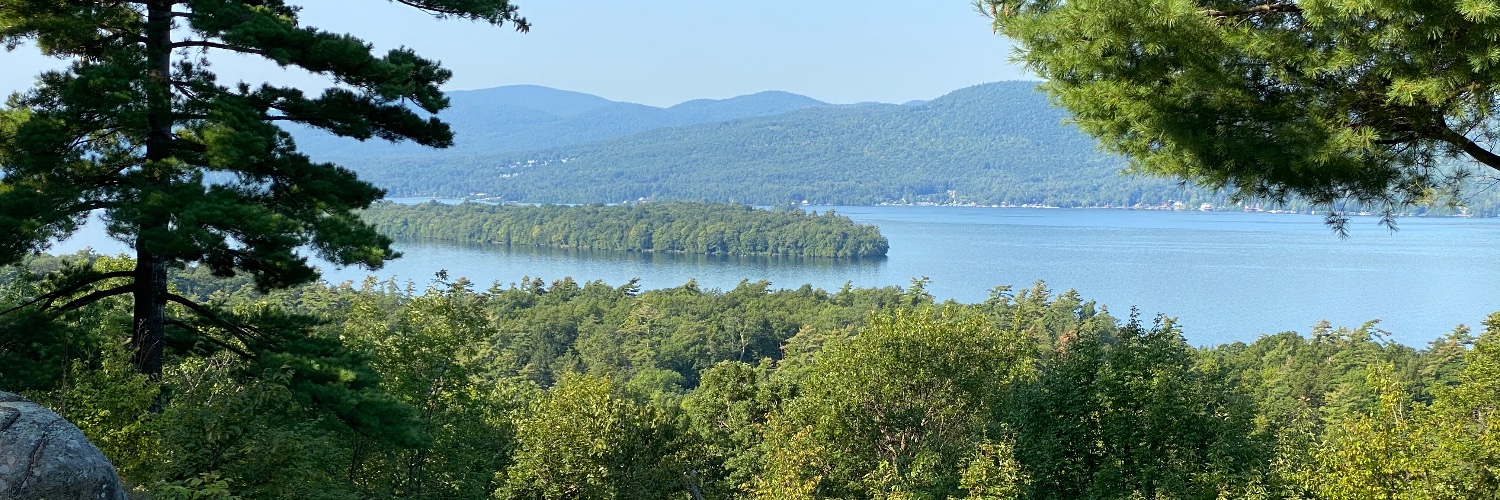 Murray Decock banner