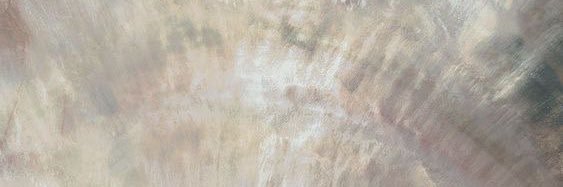 sofisonfire_'s profile banner image