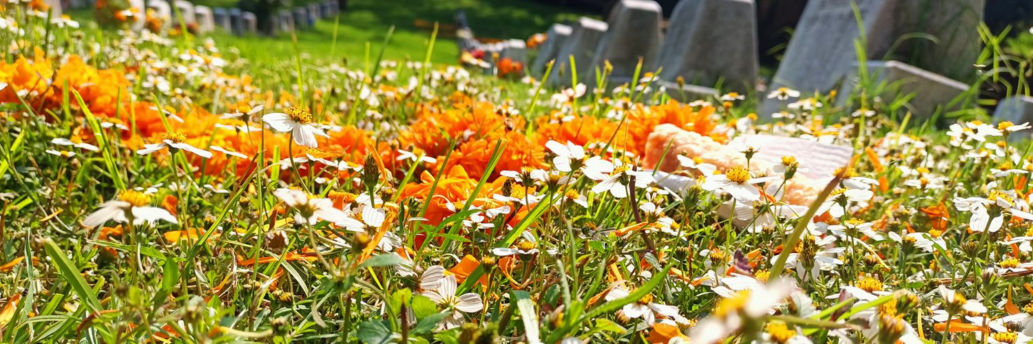 ~+Mayis en proceso de baja+~ banner