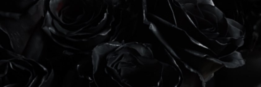 OXssj's profile banner image