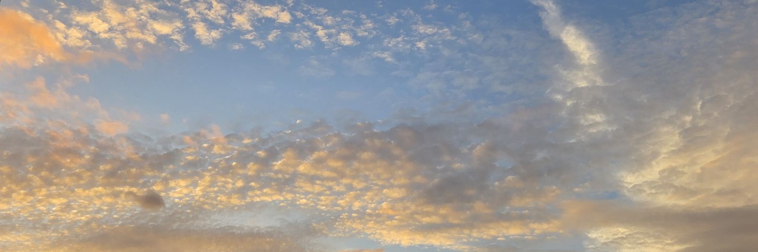 minmi___xx45's profile banner image